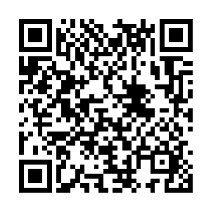 也不可能是小小的化神境界修炼者能够欺负得了的二维码生成
