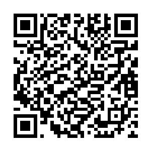 也不可能直接将一个超脱境强者的身躯打的崩溃起来二维码生成