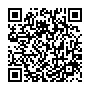 也不好说这三货现在都在自己的空间里啃着草呢二维码生成