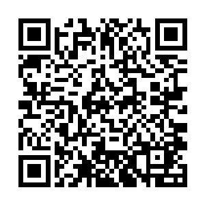 也不希望邵华在生命进入倒计时孤零零地一个人离去二维码生成