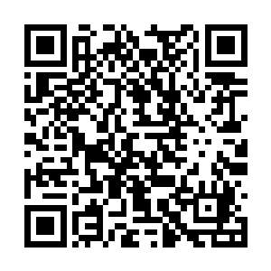 也不想这样放弃了好不容易能呆在锦尘身边的机会二维码生成