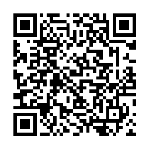 也不敢向之前对付那些官府的侍卫士兵一样轻易的用兵器二维码生成