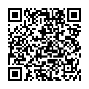 也不敢贸然的将一名不下于他的人主级吸收进去二维码生成