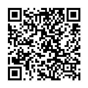 也不是南宫啸月这种年轻一代战将级高手所能抗衡的二维码生成