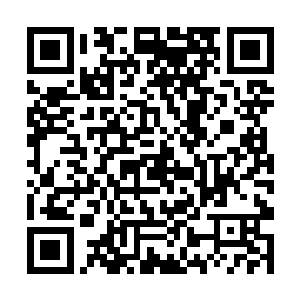 也不是现在低声下气摇尾乞怜就可以让她对自己改观二维码生成