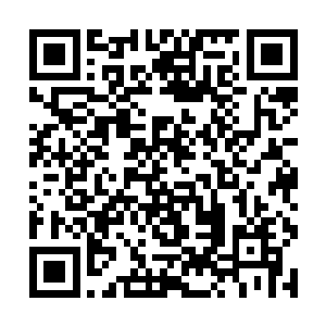 也不是能被一个刚从监狱里逃出来的犯人随意指使的二维码生成