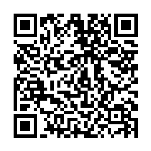 也不知是来阻挡周雍还是来搭救她的人已经被清理掉二维码生成