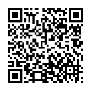 也不知道丁羽这个大儿子究竟是怎么教育的这两个孩子二维码生成