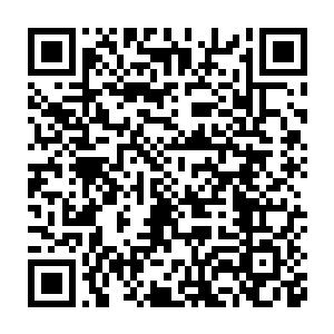 也不知道东秦女皇知道君北月打下大东秦其实就为了那么个小岛屿二维码生成