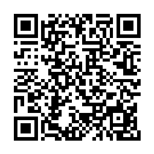 也不知道云雾沼泽当中的筑基期鳄鱼在什么地方二维码生成