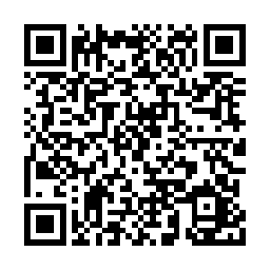 也不知道仙界的时间和修仙界的时候有没有区别二维码生成