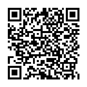 也不知道大伊万是怎么把这些人给召集到一起的二维码生成