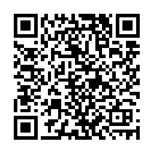 也不知道它的肚子是怎么把那么大只黄羊兽装下的二维码生成