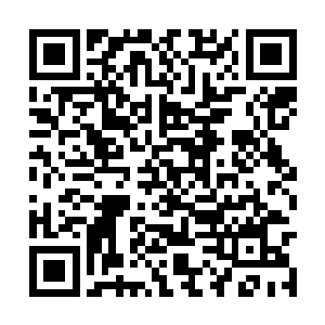 也不知道我当年送那去的那个小家伙现在怎么样了二维码生成