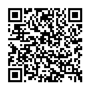 也不知道是不是因为之前宇天的表现还是怎么的二维码生成