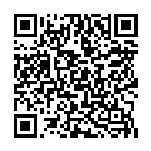 也不知道是不是灵界跟魔界气息相撞融合的缘故二维码生成