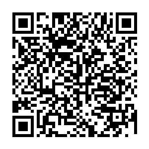 也不知道是不是红酒后劲大还是刚才在公园一路走来听到太多扰乱人心的声音二维码生成
