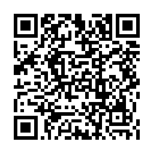 也不知道是不是能量球里蕴含着什么特殊的域场二维码生成