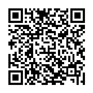 也不知道是谁刚才被世子殿下一个眼神便吓得三腿发软二维码生成