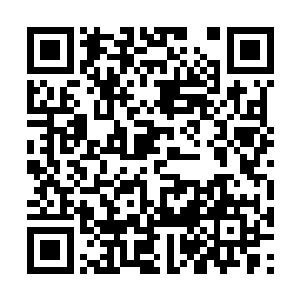 也不知道是顾苒的威望见涨还是抓到了顾漫的把柄二维码生成