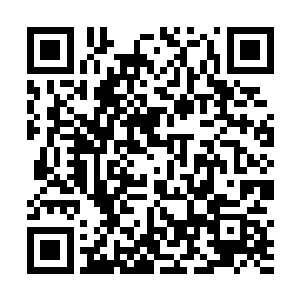 也不知道能不能从他们那得知一点有关于他的消息……二维码生成