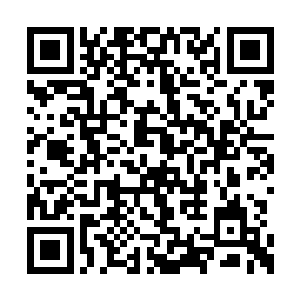 也不知道自己对原战的治疗哪一点起了关键作用二维码生成