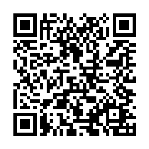 也不知道这两个不知死活的家伙究竞跑到哪里去了二维码生成