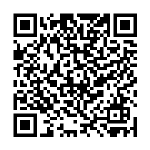 也不知道那女尸刚才到底是用什么在我的喉咙里头捯饬二维码生成