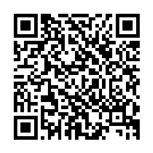 也不知道那直接夺了他四大护法法宝的也正是杀他弟弟的凶手二维码生成
