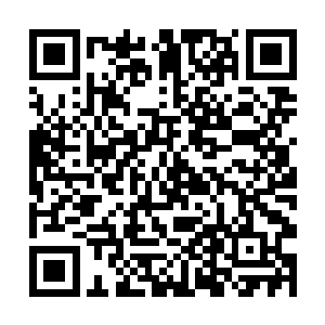 也不知道项松他们知不知道斗灵圣莲莲子的这个限制二维码生成