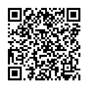 也不管这个邋遢男人是个多么让人痛恨的盗墓贼二维码生成