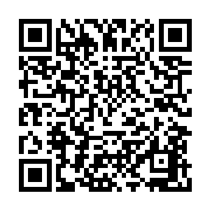 也不能保证所有不屈的英灵都能第一时间看到它二维码生成