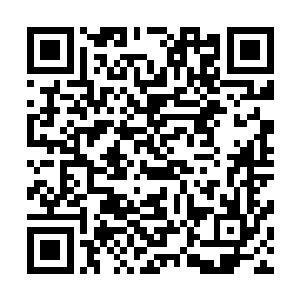 也不能独霸天雷谷――雷修们承认洪家对天雷谷的实际控制二维码生成
