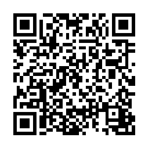 也不觉得这个世界上有什么爱情是会永垂不朽的二维码生成