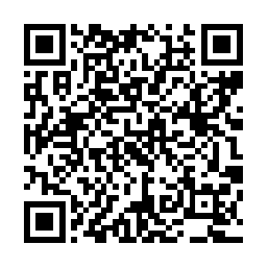 也为这少女原来好容易争夺到的些许微弱优势翻转感到叹息二维码生成