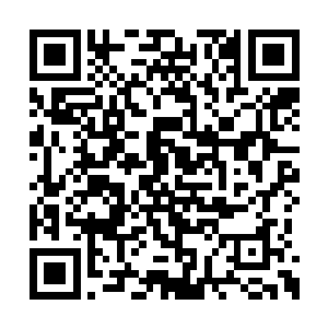 也为那些围在钱库边上瞅着爹娘领钱的孩子高兴二维码生成