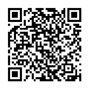 也亲眼见识过君北月将婉妃的骨灰盒送到孤岛上时二维码生成