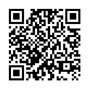 也从来都没有任何一个敢去招惹龙族二维码生成