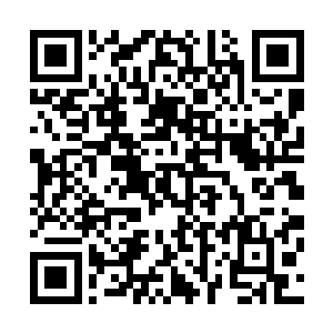 也令到凌霄冰玉神功的功体隐隐蕴含了紫气东来神功的特性二维码生成