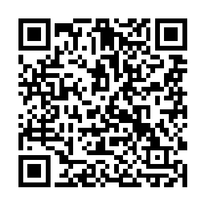 也令得楚暮具备了与对方抗衡乃至威胁到对方的机会二维码生成