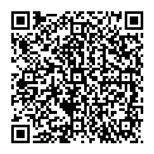 也令我大略分清了其中的阵营与强者……再加上马拉的现场演示它之后肯定也会以同样的招数对付我二维码生成