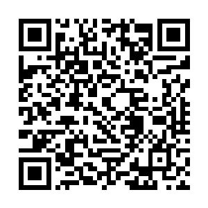 也令雷林知道了外海当中并不是一番风平浪静的局面二维码生成