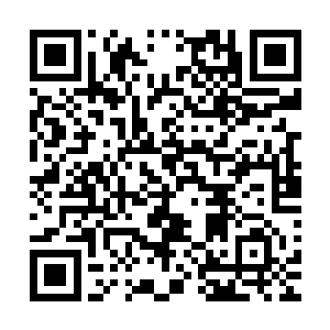 也以为自己已经渐渐忘记了那个在泥泞汗水中笑的肆意的女子二维码生成