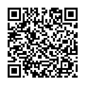 也会像那些在大街上亡命奔走仓皇惊恐的普通人一样二维码生成