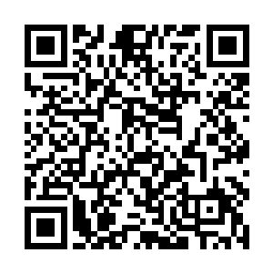 也会忍不住追杀的……这绝对是真正人人喊打的存在二维码生成