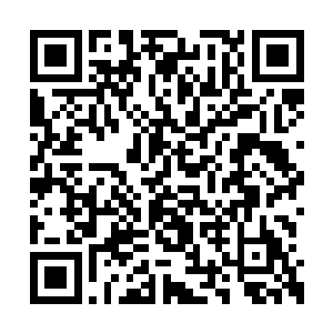 也会赢的――她只要像刚刚那般缠住他就足够了二维码生成