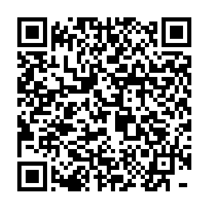 也使得万宝天中的无数剑灵成为介于群体与单体之间的特殊形态的生命二维码生成