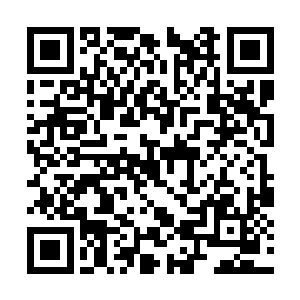 也借机近距离的看清了奥利奥那张还在哭泣的小脸二维码生成