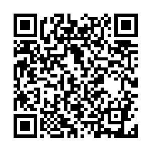 也借此让观众们重新想起了五个月以前的经典影片二维码生成