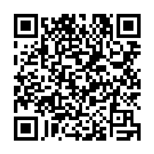 也到这里来的苏婧芸立刻看到了那个让她铭记于心的人二维码生成